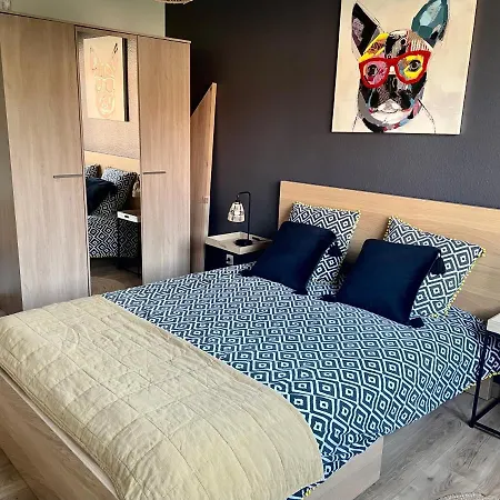 Daire - Le Refuge Colmarien - 5 Personnes